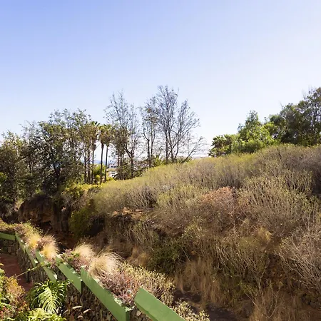 Live Puerto Marañuelas * Puerto de la Cruz (Tenerife)