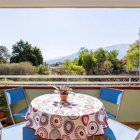 Live Puerto Marañuelas * Puerto de la Cruz (Tenerife)