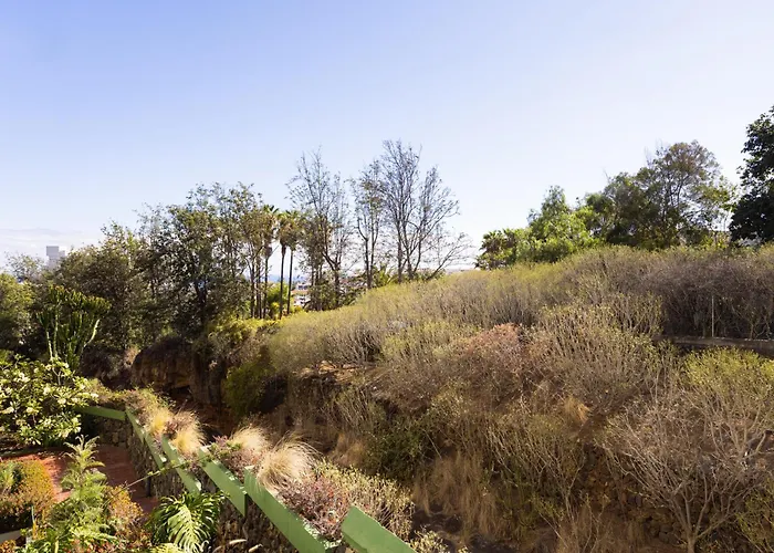 Live Puerto Marañuelas * Puerto de la Cruz (Tenerife)