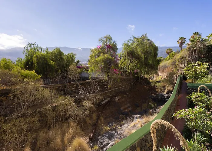 Live Puerto Marañuelas *