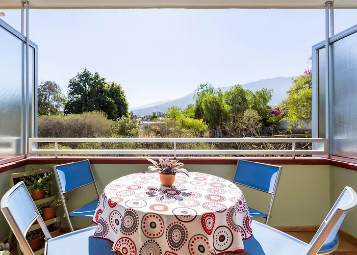 Live Puerto Marañuelas * Puerto de la Cruz (Tenerife)